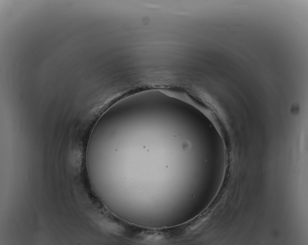 X0000089970113200707061209