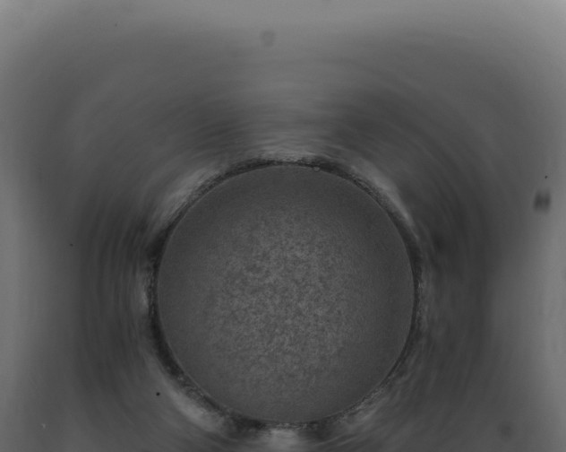 X0000089970114200707061209