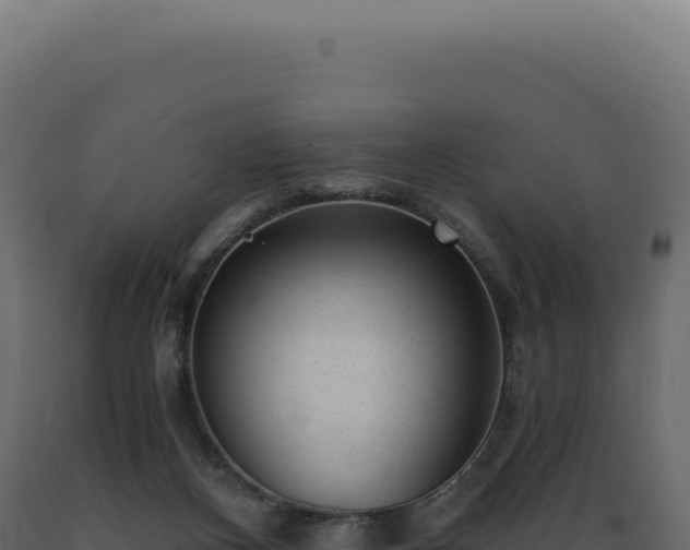 X0000089970116200707061209
