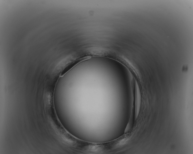 X0000089970117200707061209