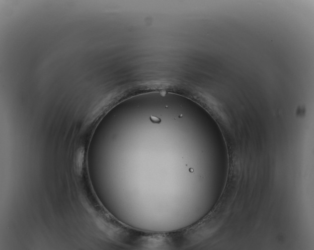 X0000089970118200707061209