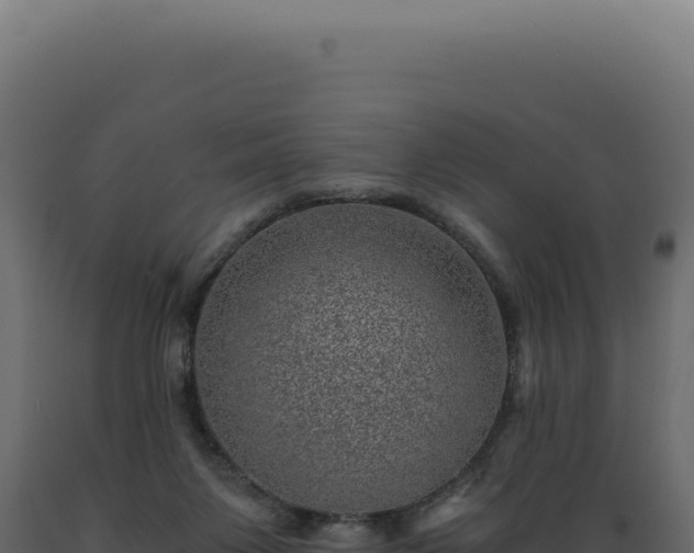X0000089970119200707061209
