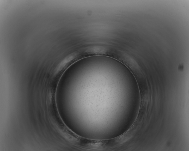 X0000089970120200707061209