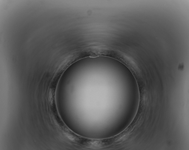 X0000089970121200707061209
