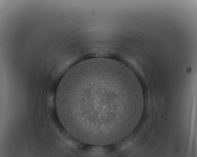 X0000089970123200707061208