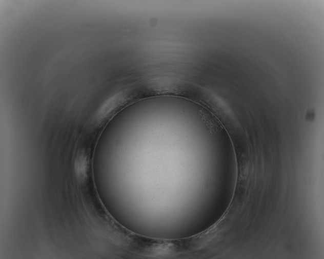 X0000089970124200707061208