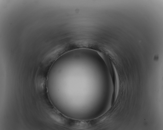 X0000089970125200707061208