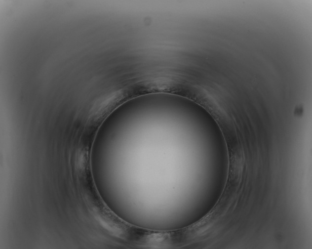 X0000089970126200707061208