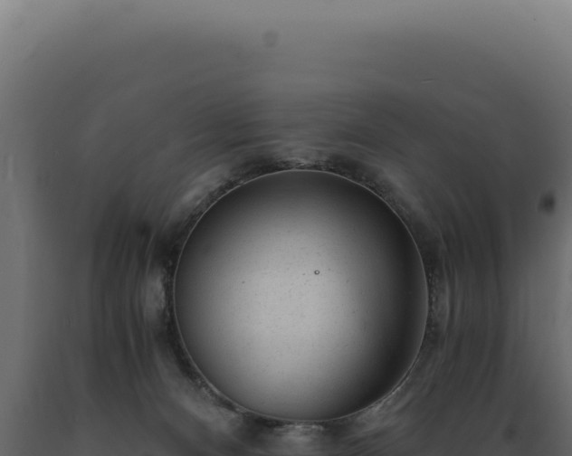 X0000089970128200707061208