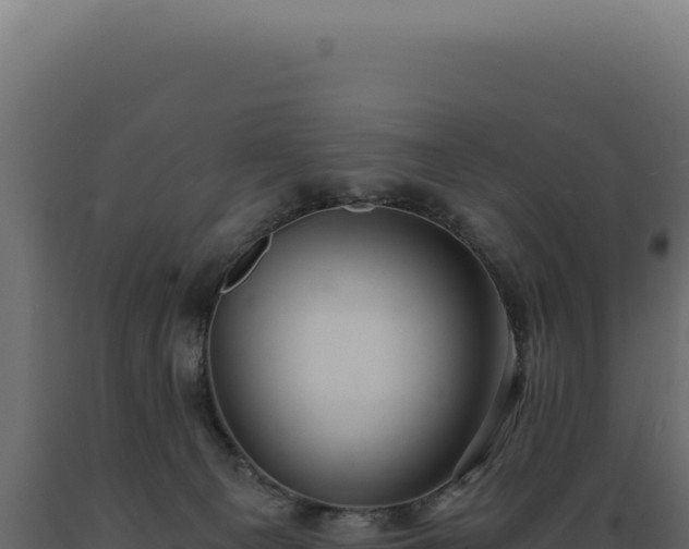 X0000089970129200707061208