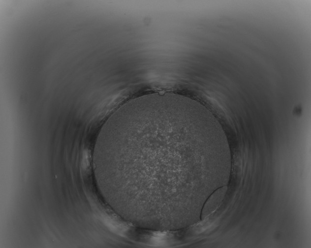 X0000089970130200707061208