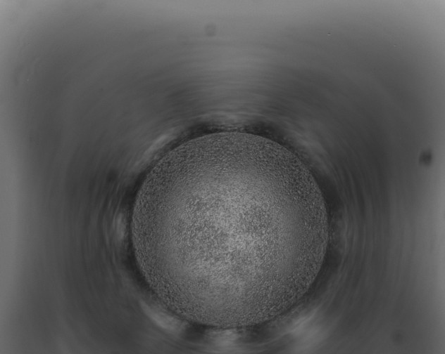 X0000089970131200707061208