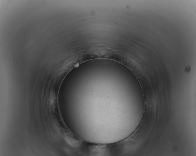 X0000089970132200707061208