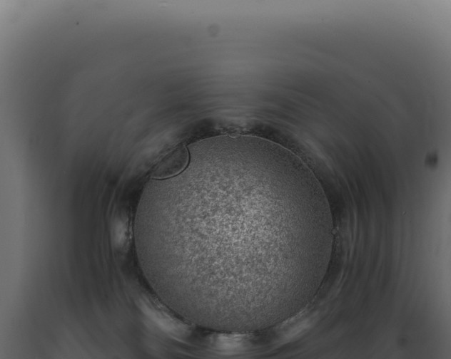 X0000089970134200707061208