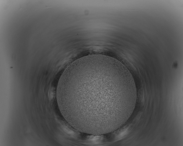 X0000089970135200707061208