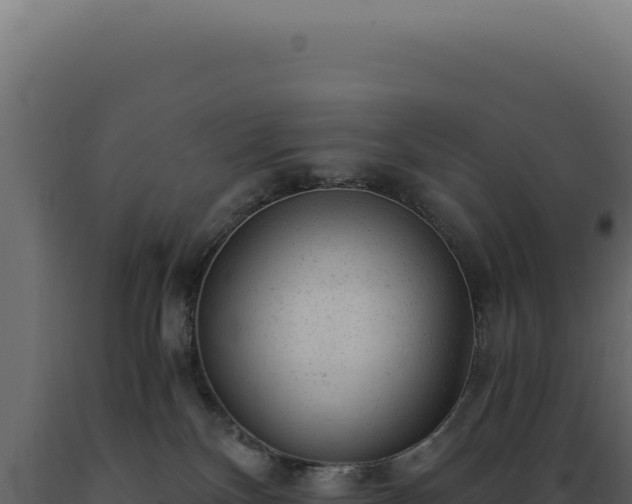 X0000089970136200707061208