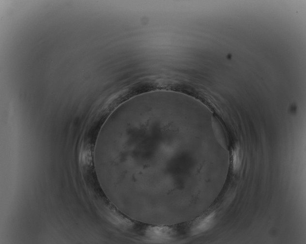 X0000089970137200707061208