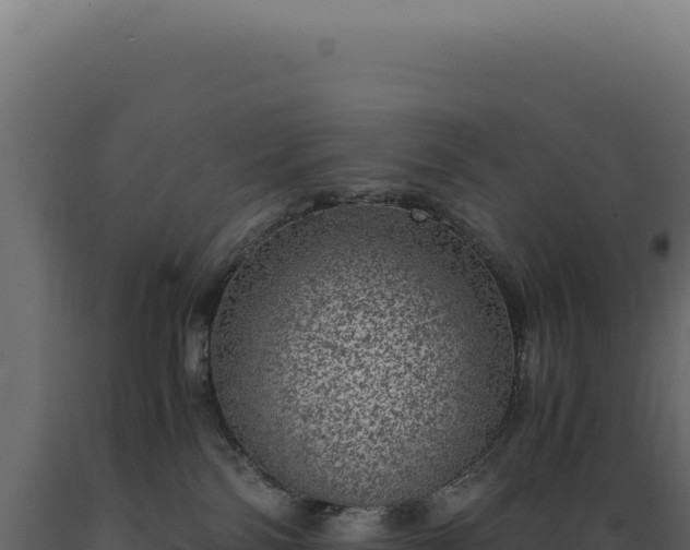 X0000089970138200707061208