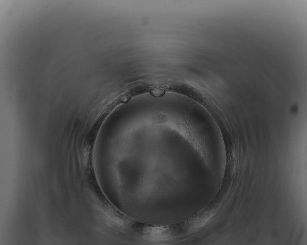 X0000089970139200707061208