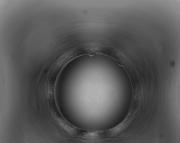 X0000089970140200707061208