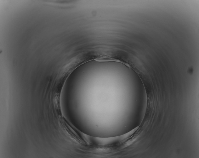X0000089970141200707061208