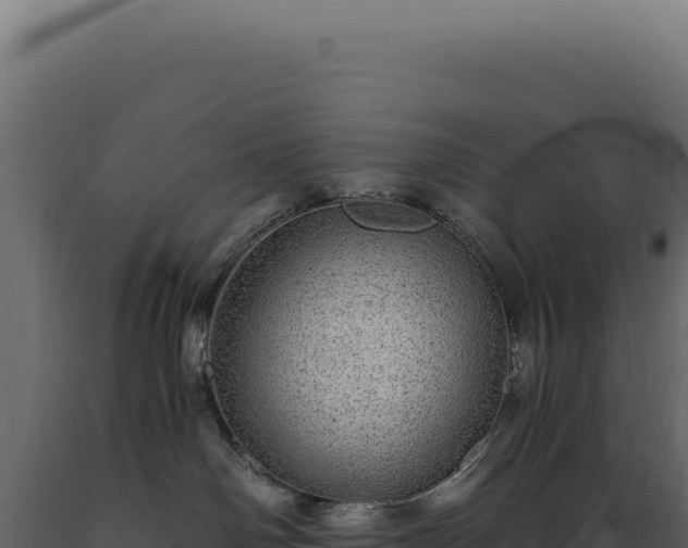X0000089970142200707061208