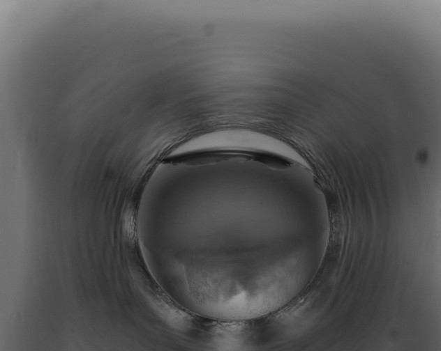 X0000089970143200707061208
