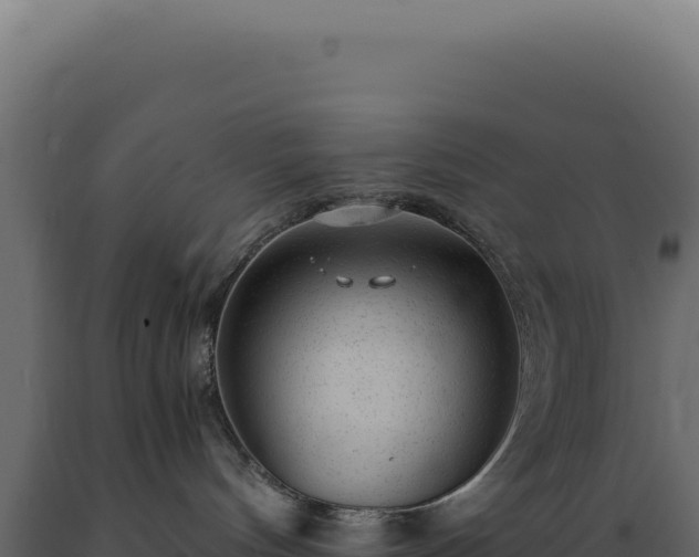 X0000089970144200707061208