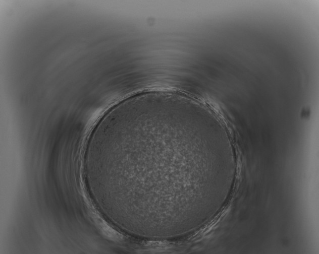X0000089970145200707061207