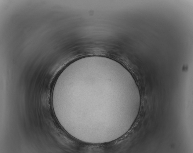 X0000089970146200707061207