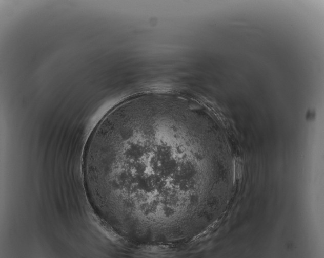 X0000089970147200707061207
