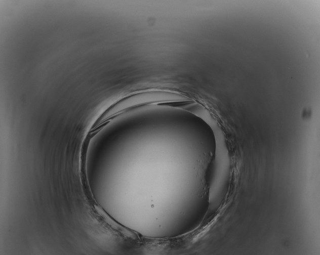 X0000089970148200707061207