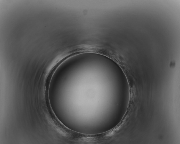 X0000089970150200707061208