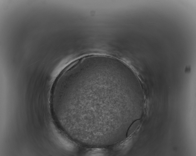X0000089970151200707061208