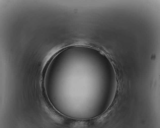 X0000089970152200707061208