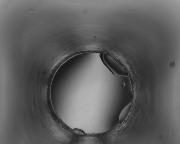 X0000089970154200707061208