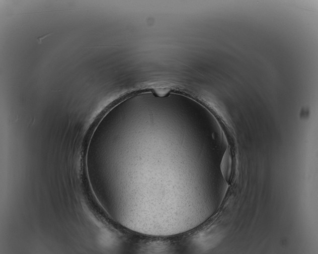 X0000089970156200707061208