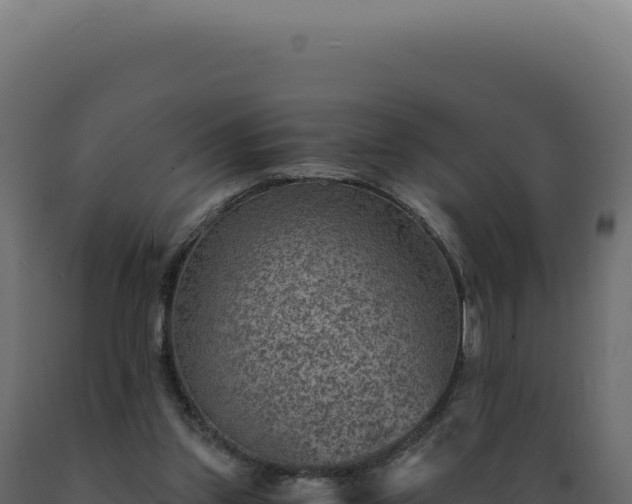 X0000089970157200707061208