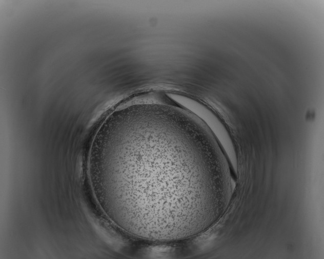 X0000089970158200707061208