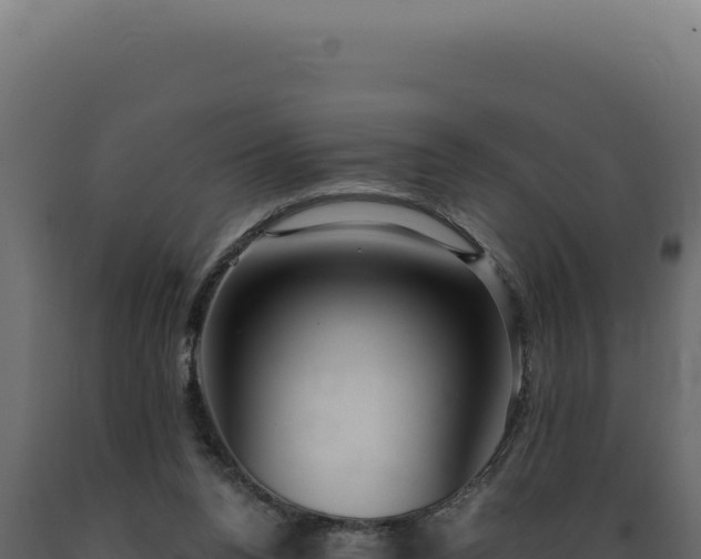 X0000089970160200707061208