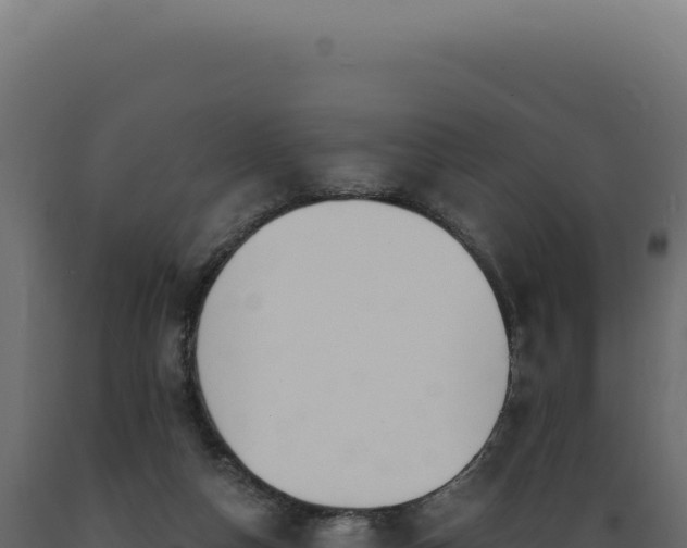 X0000089970162200707061208