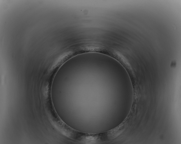 X0000089970163200707061208