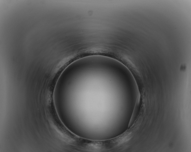 X0000089970164200707061208