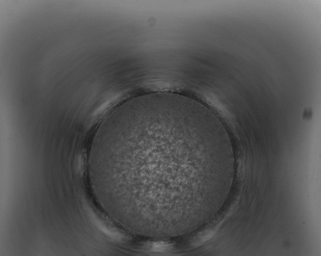X0000089970165200707061208