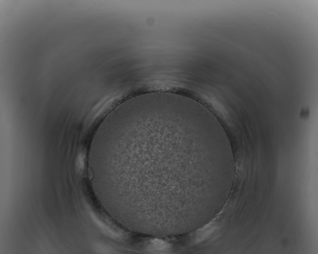 X0000089970166200707061208