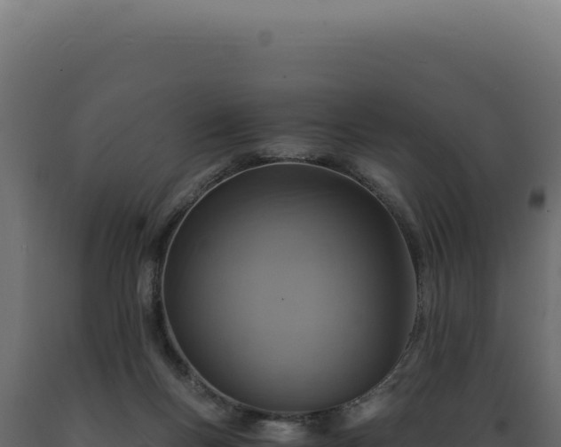 X0000089970167200707061208