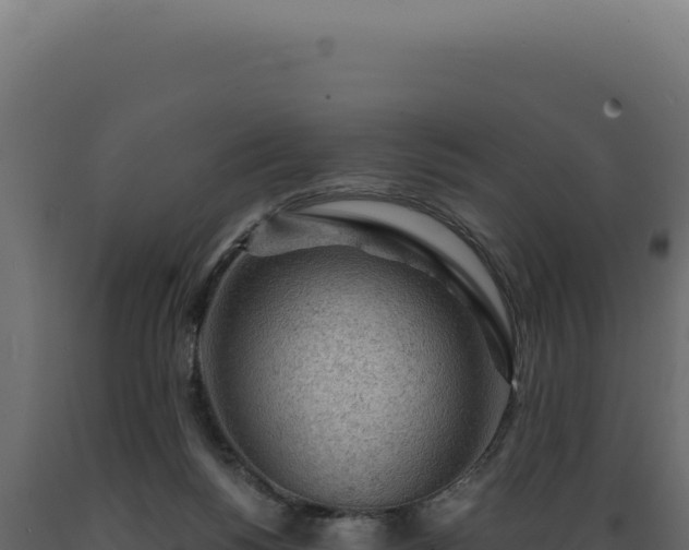 X0000089970168200707061208