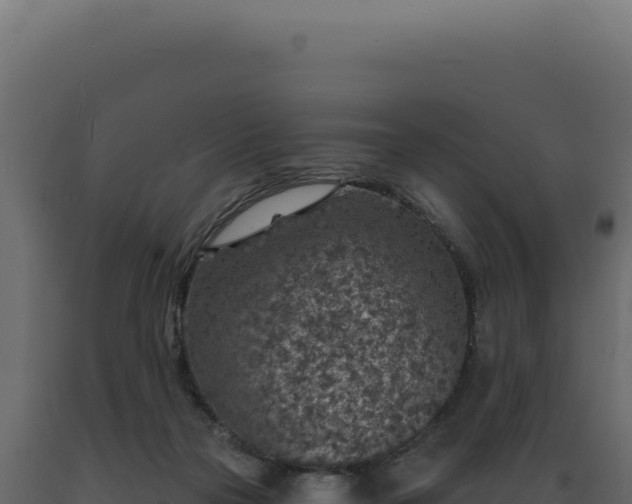 X0000089970169200707061208