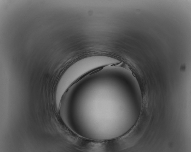 X0000089970170200707061208