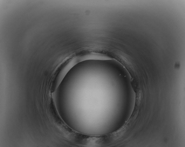 X0000089970172200707061208